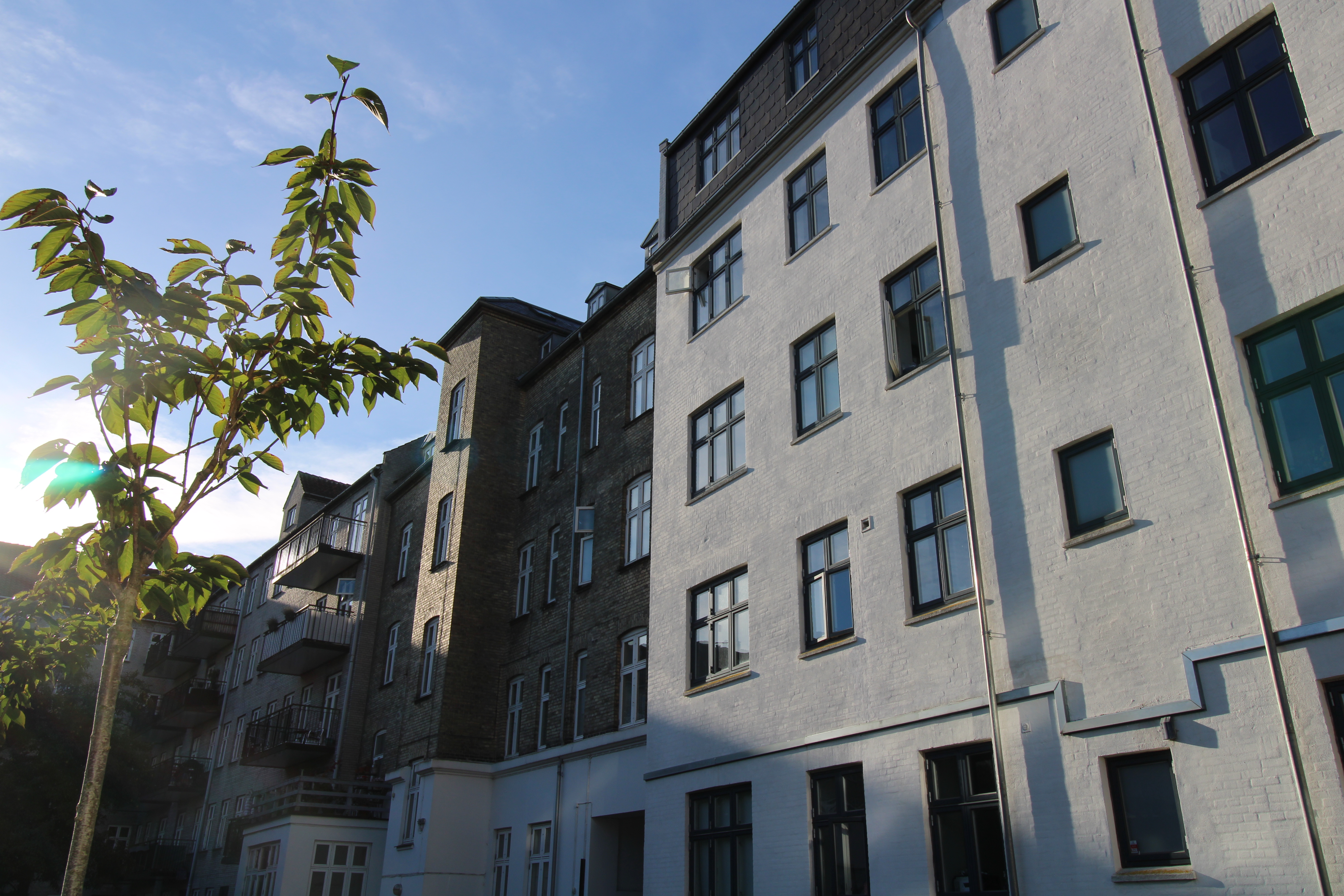 Borups Allé – Frederiksberg, København