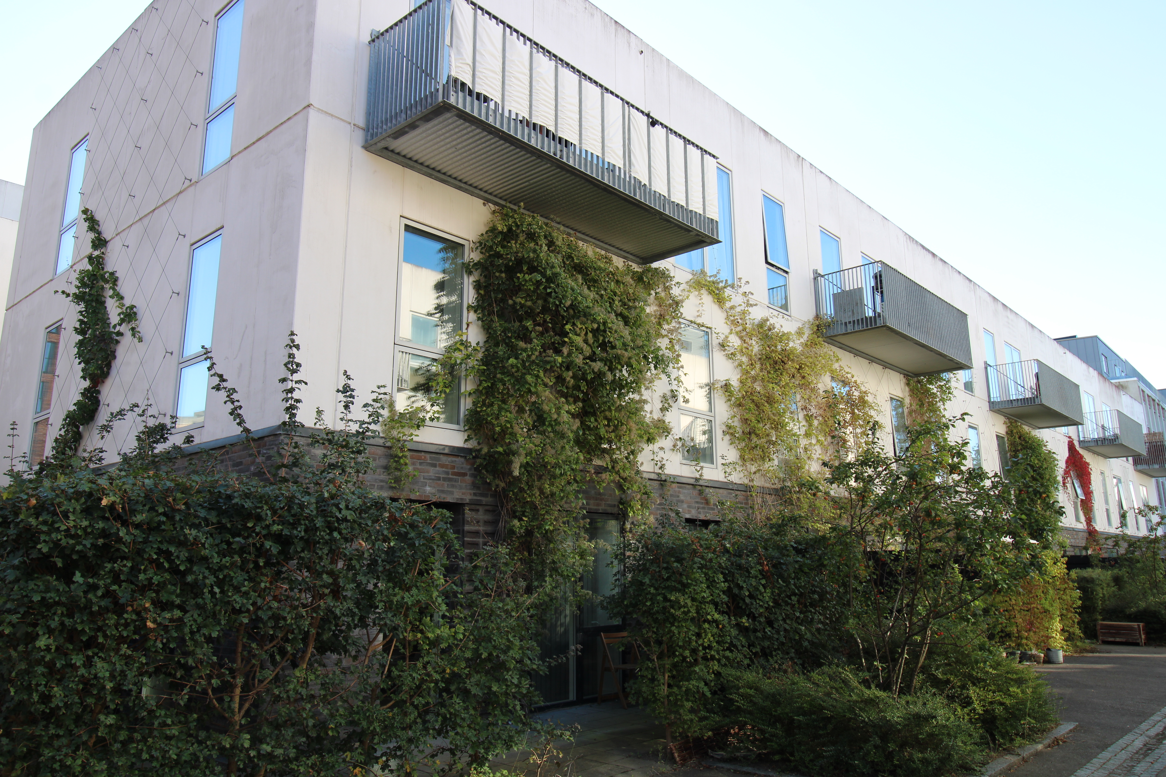 Filippahaven - Grønttorvet i Valby, København.